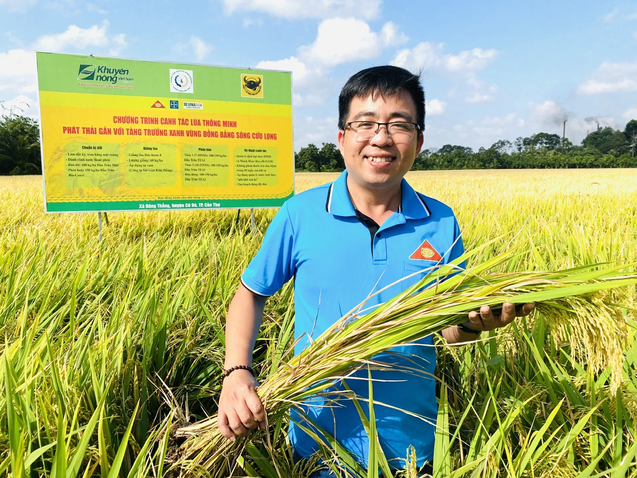 Trên đồng lúa ở Cần Thơ, nông dân áp dụng kỹ thuật 