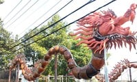 Un par único de dragones de cerámica en un pueblo artesanal centenario en Binh Duong