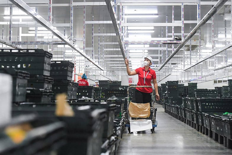 Сотрудники склада WinCommerce проверяют автоматизированную систему сортировки товаров. Фото: WinCommerce