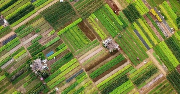 300 Jahre altes Gemüsedorf neben Vietnams Kulturerbe als bestes Touristendorf der Welt vorgeschlagen