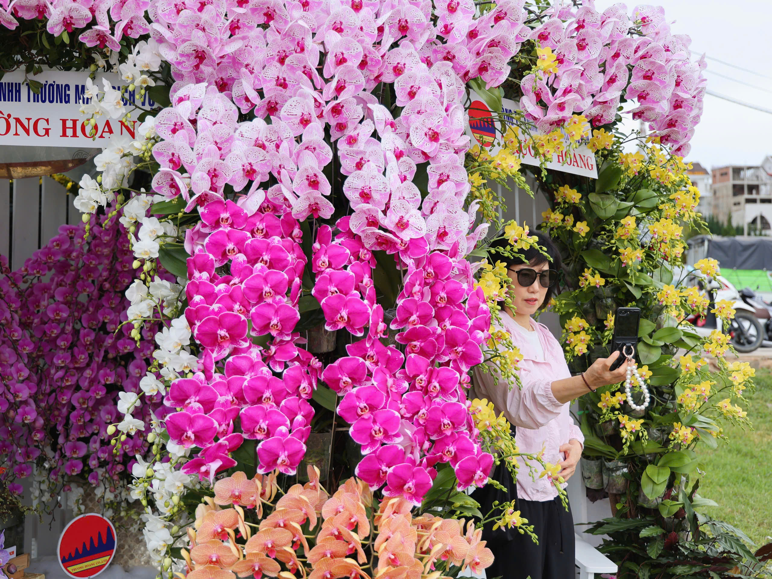 Check-in cùng bonsai khổng lồ, phố hoa khoe sắc tại Festival Hoa Đà Lạt - Ảnh 14.