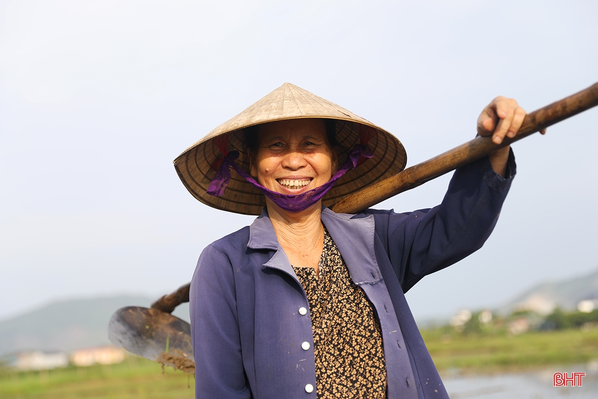 Ha Tinh farmers race against summer-autumn planting schedule