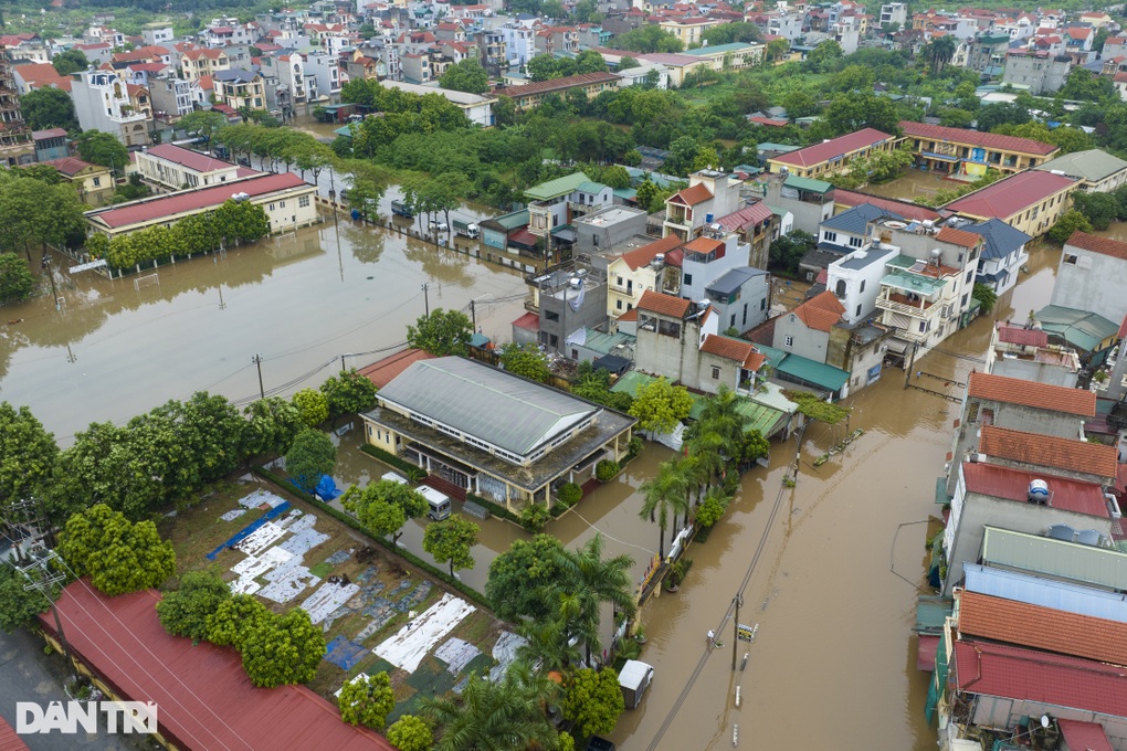 Dở khóc dở cười đàn cá bơi tung tăng trong nhà ở Hà Nội sau trận mưa lớn - 1