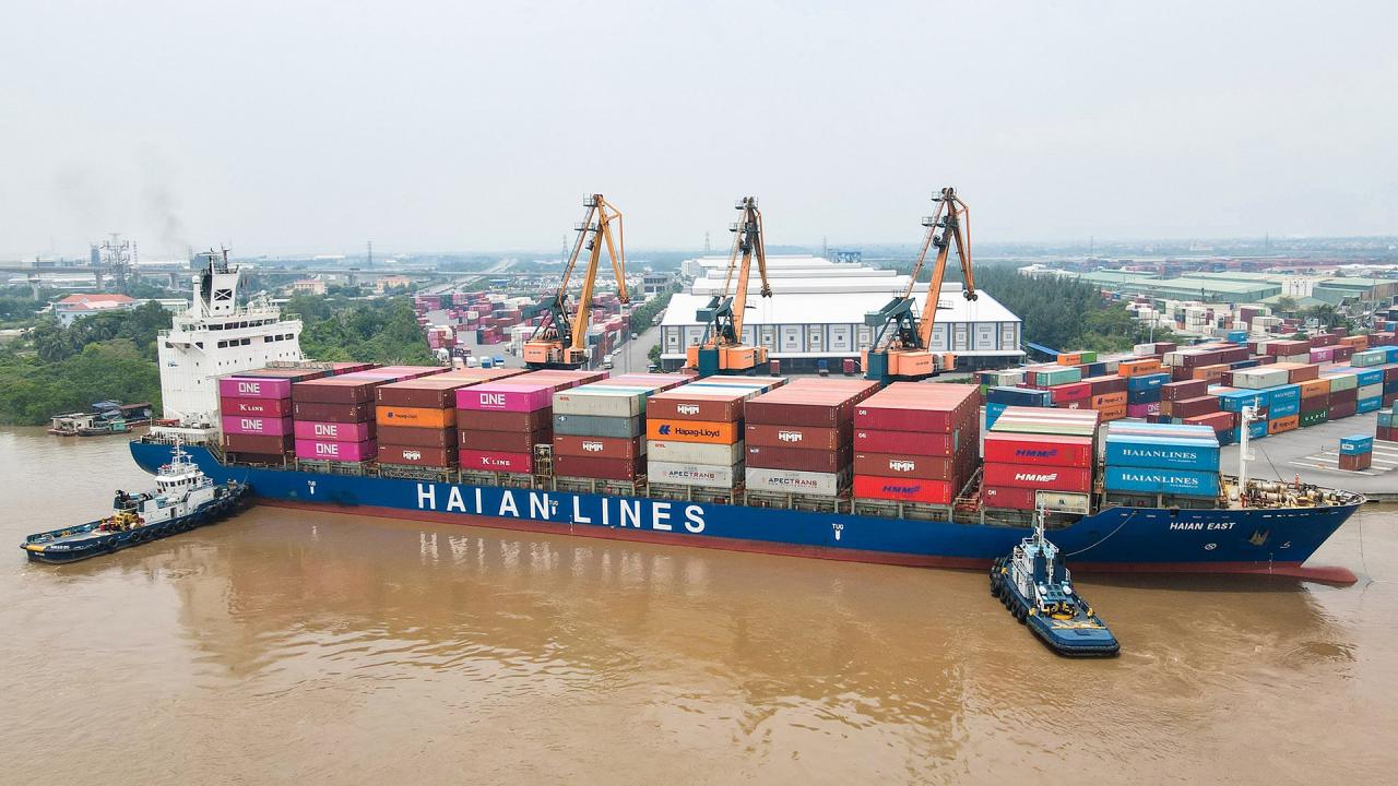 Giấc mơ đưa đội tàu Việt ra biển lớn - Ảnh 11.