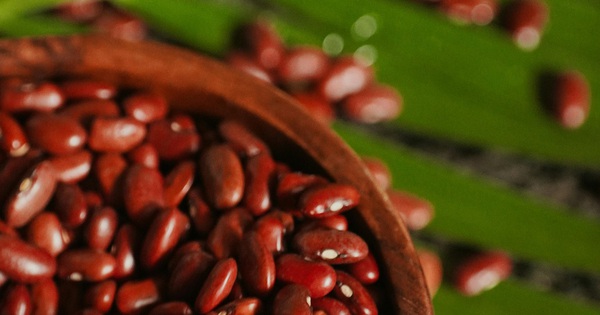 The surprising effects of kidney beans on kidneys and cholesterol