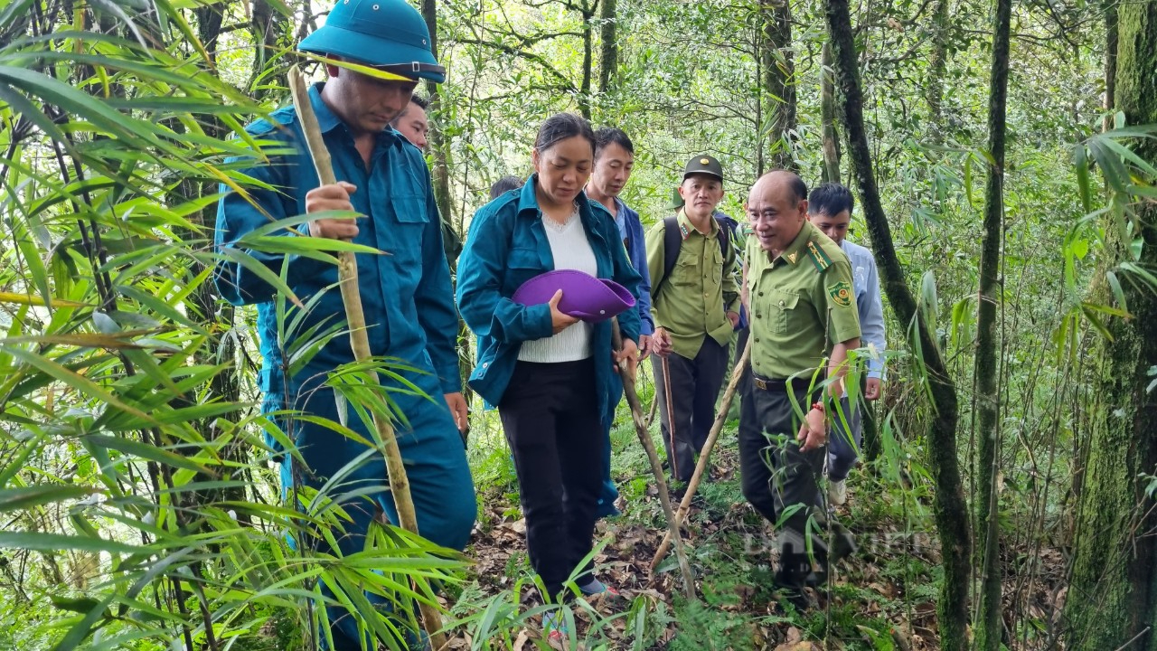 “Nhặt” chuyện giữ rừng trên Cao nguyên đá (Bài 1): Hạt phó 4 lần làm đơn xin thôi chức để được đi rừng - Ảnh 2.