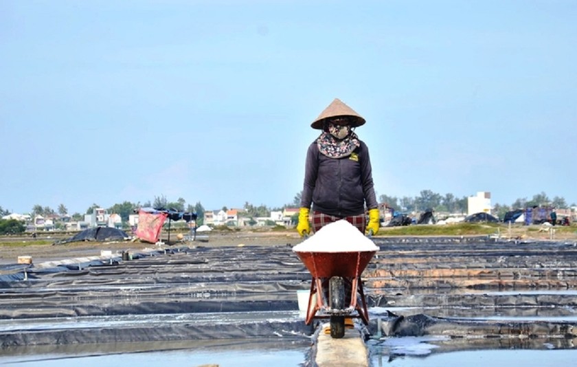 Làng nghề muối Sa Huỳnh hình thành cách đây hơn 100 năm.