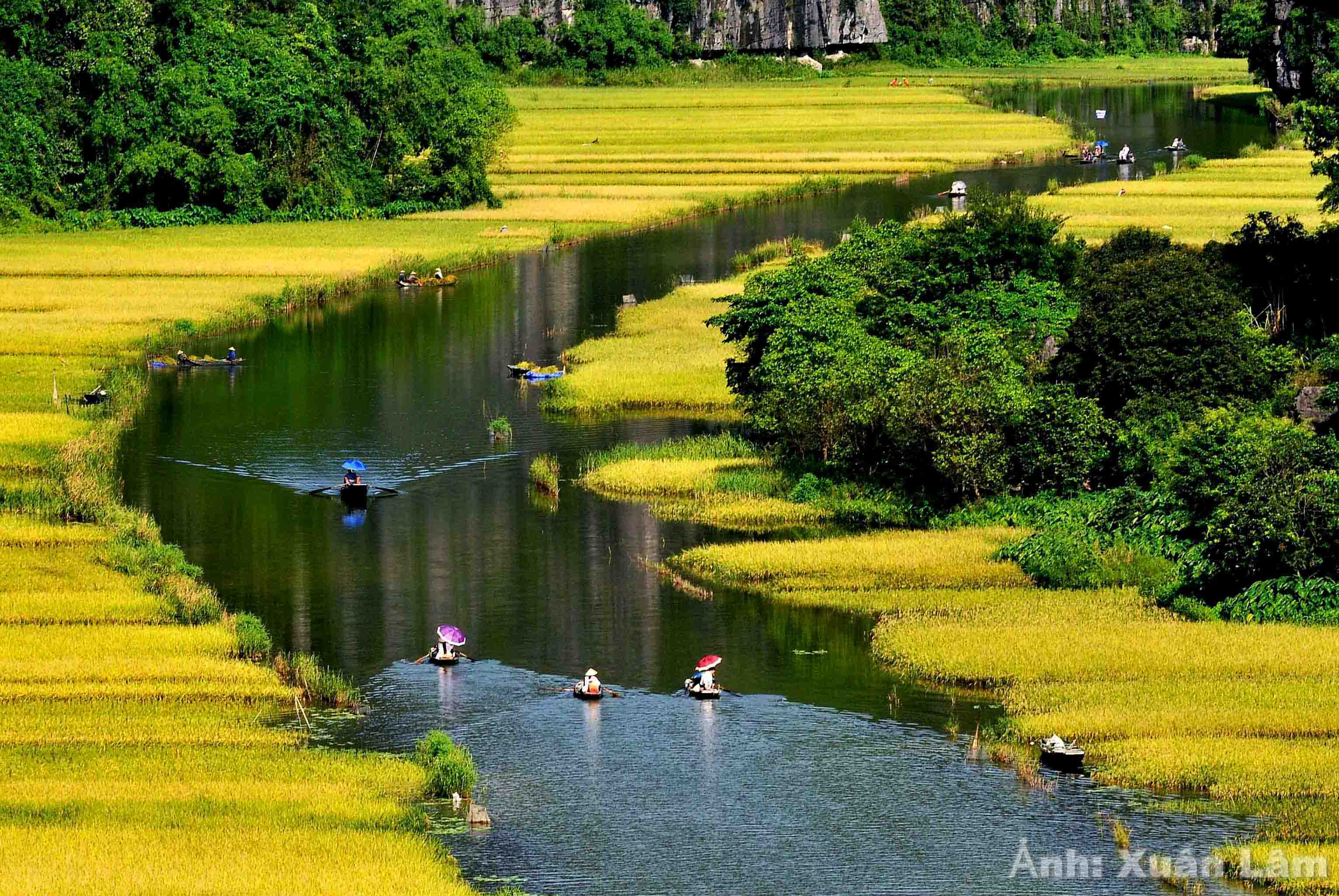 Golden season on Tam Coc ferry