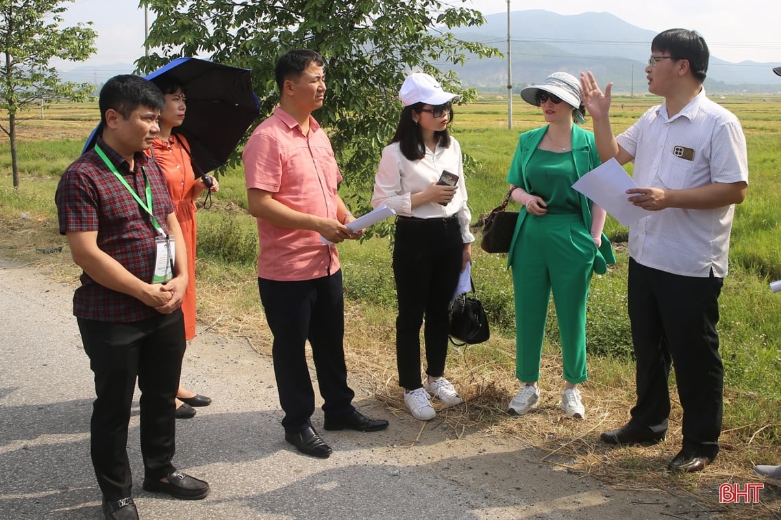 Domestic and foreign delegates impressed by Ha Tinh's development