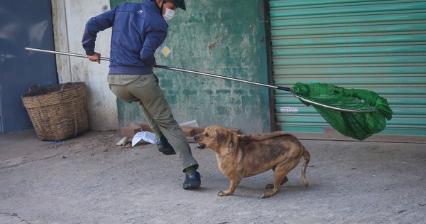 Rabies warning increases in hot season