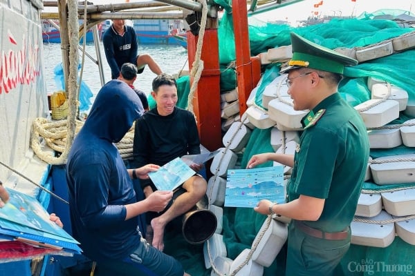 La CE n'a pas annoncé la date et l'heure précises de sa visite au Vietnam pour inspecter et envisager de retirer le « carton jaune » INN.