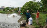 Ms. Nguyen Thi Quyen (right) transformed the brick kiln land into a billionaire farm.