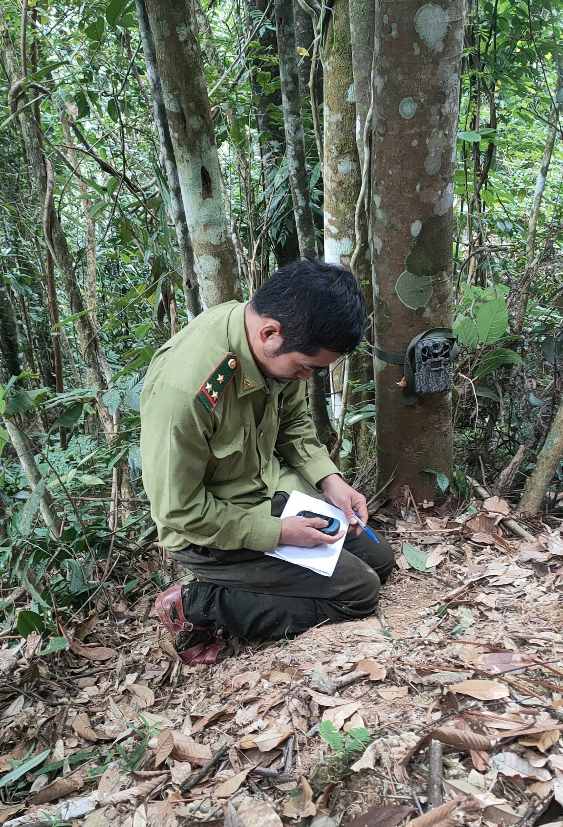 Ranger journey into the forest to set camera traps in Pu Huong Nature Reserve photo 11