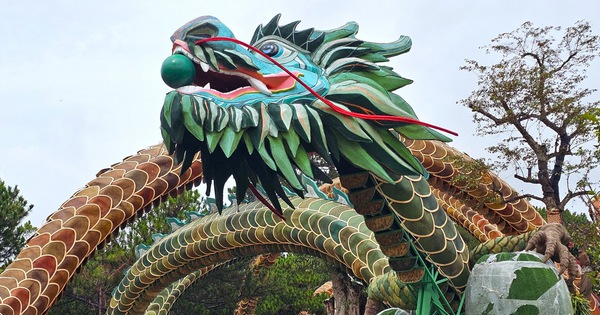 Dragon mascot fined: Hoping to be licensed, increasing attractiveness for Da Lat