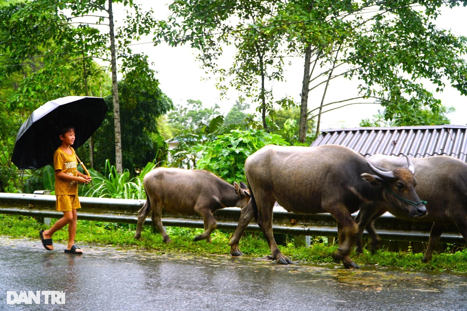 Kỳ nghỉ hè không như mơ của những đứa trẻ vùng cao - 5