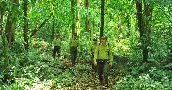 เป็นครั้งที่ 6 ติดต่อกันที่อุทยานแห่งชาติ Cuc Phuong ได้รับการยกย่องให้เป็นอุทยานแห่งชาติชั้นนำของเอเชีย