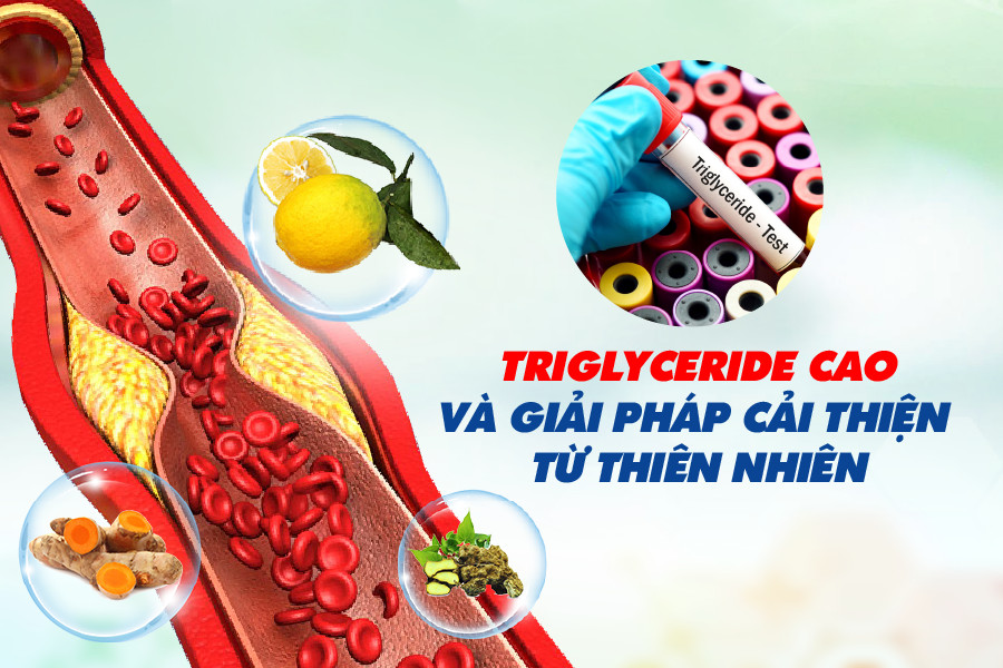 Triglyceride cao và giải pháp cải thiện từ thiên nhiên