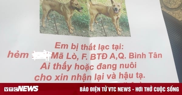 Publier une annonce en ligne à la recherche d'un animal de compagnie, devenir de manière inattendue la « proie » d'escrocs