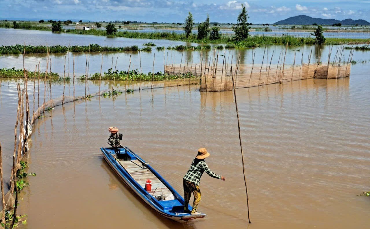 Đến An Giang mùa nước nổi, nếm đặc sản cá linh non trứ danh- Ảnh 3.