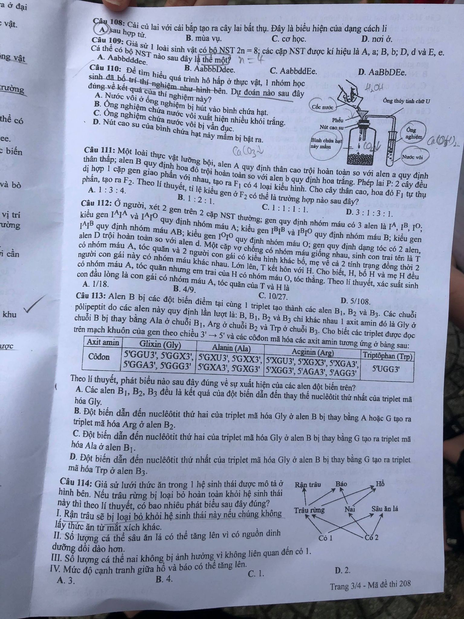 Đề thi môn Sinh học tốt nghiệp THPT 3 năm gần đây có đáp án tất cả mã đề- Ảnh 16.