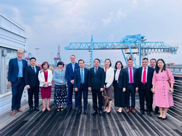 Hai Phong City and Gothenburg Port (Sweden) strengthen cooperation in logistics