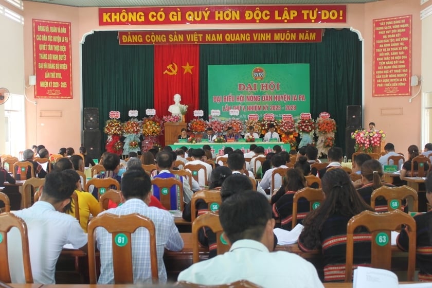 2023-2028 के कार्यकाल में, इया पा ज़िला किसान संघ 1,000 नए सदस्यों को शामिल करने का प्रयास कर रहा है। फोटो 1