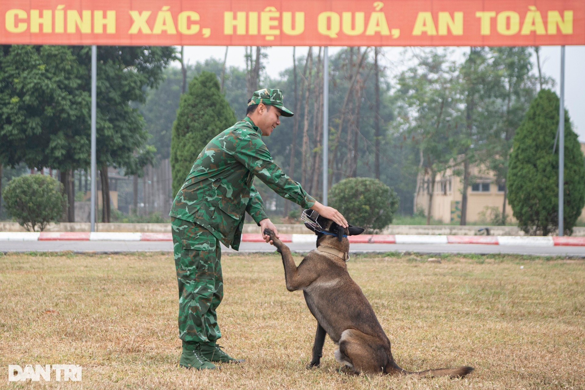 Quân khuyển trình diễn vượt vòng lửa, bắt tội phạm ở Triển lãm Quốc phòng - 4