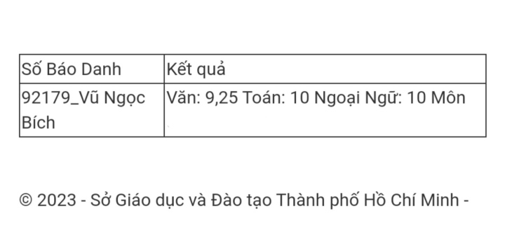 Der Jahrgangsbeste der 10. Klasse aus Ho-Chi-Minh-Stadt fiel einmal durch die Qualifikationsrunde der Begabtenprüfung - 1