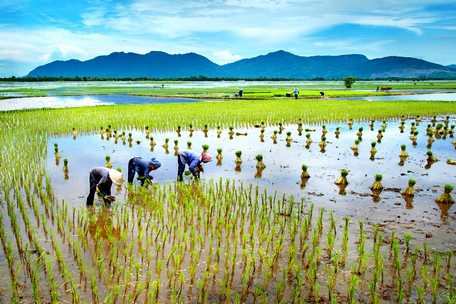 ធ្វើការនៅ Ca Mau ជាមួយសហការីពីកាសែត Ca Mau ខ្ញុំបានទៅមើលផ្នែកទំនប់ទឹកដែលមិនទាន់រួចរាល់ដែលបានសាងសង់ក្នុងឆ្នាំ 2020 នៅស្រុក Dam Doi។