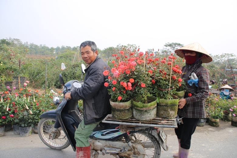 Un jardinier de la commune de Me Linh (district de Me Linh) transporte des fleurs selon les commandes des clients. Photo : Thu Hong