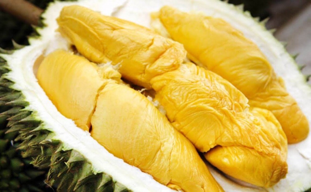 Les importations chinoises de durian en provenance du Vietnam ont augmenté de plus de 1 000 % en volume et en valeur.