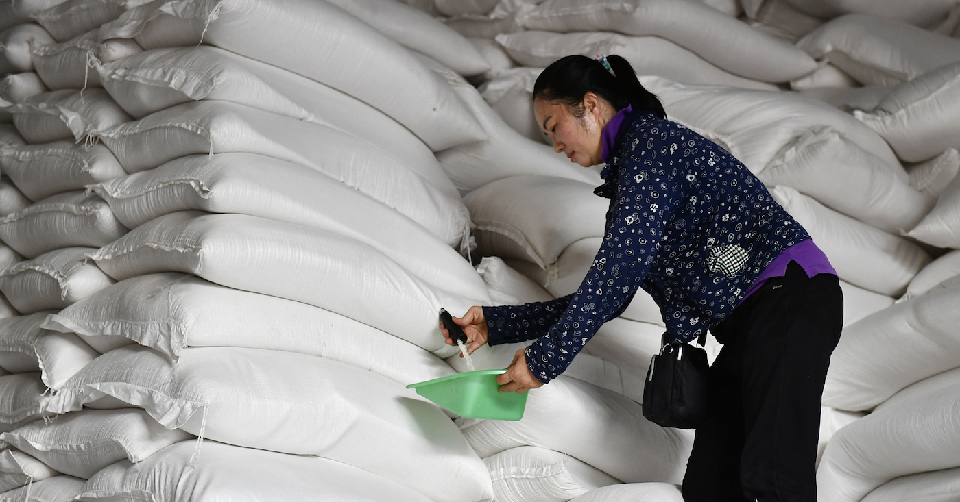 India abre un almacén para vender productos, los precios del arroz tailandés se desploman y los productos vietnamitas encabezan la lista mundial