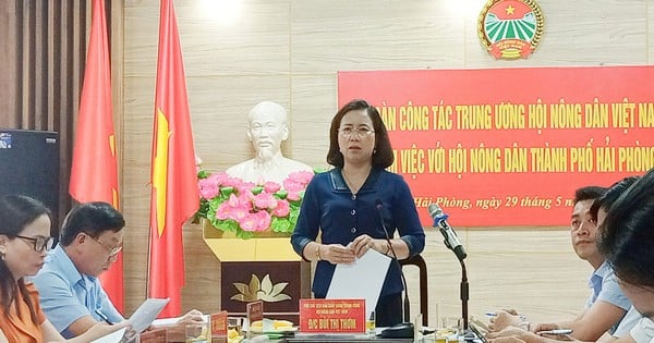 La vice-présidente Bui Thi Thom et la délégation du Comité central de l'Union des agriculteurs du Vietnam ont travaillé avec l'Association des agriculteurs de Hai Phong.