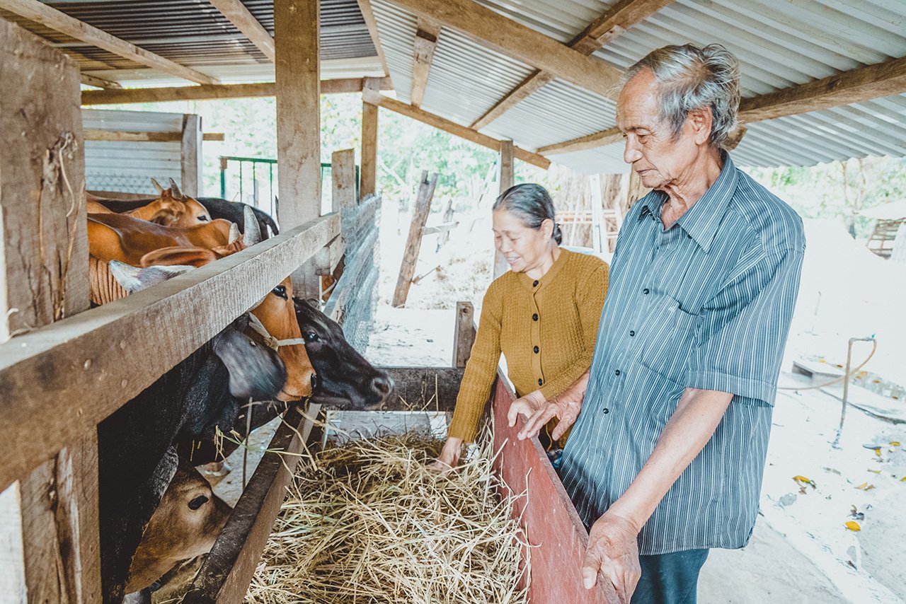 Y Luyện - cây đại thụ giữa đại ngàn - Ảnh 8.