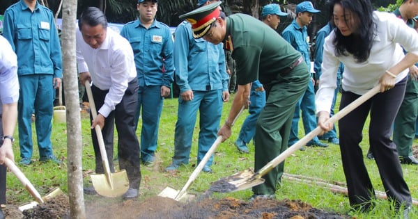 Ho Chi Minh-Ville : Lancement de la plantation d'arbres et nettoyage général pour créer un paysage vert