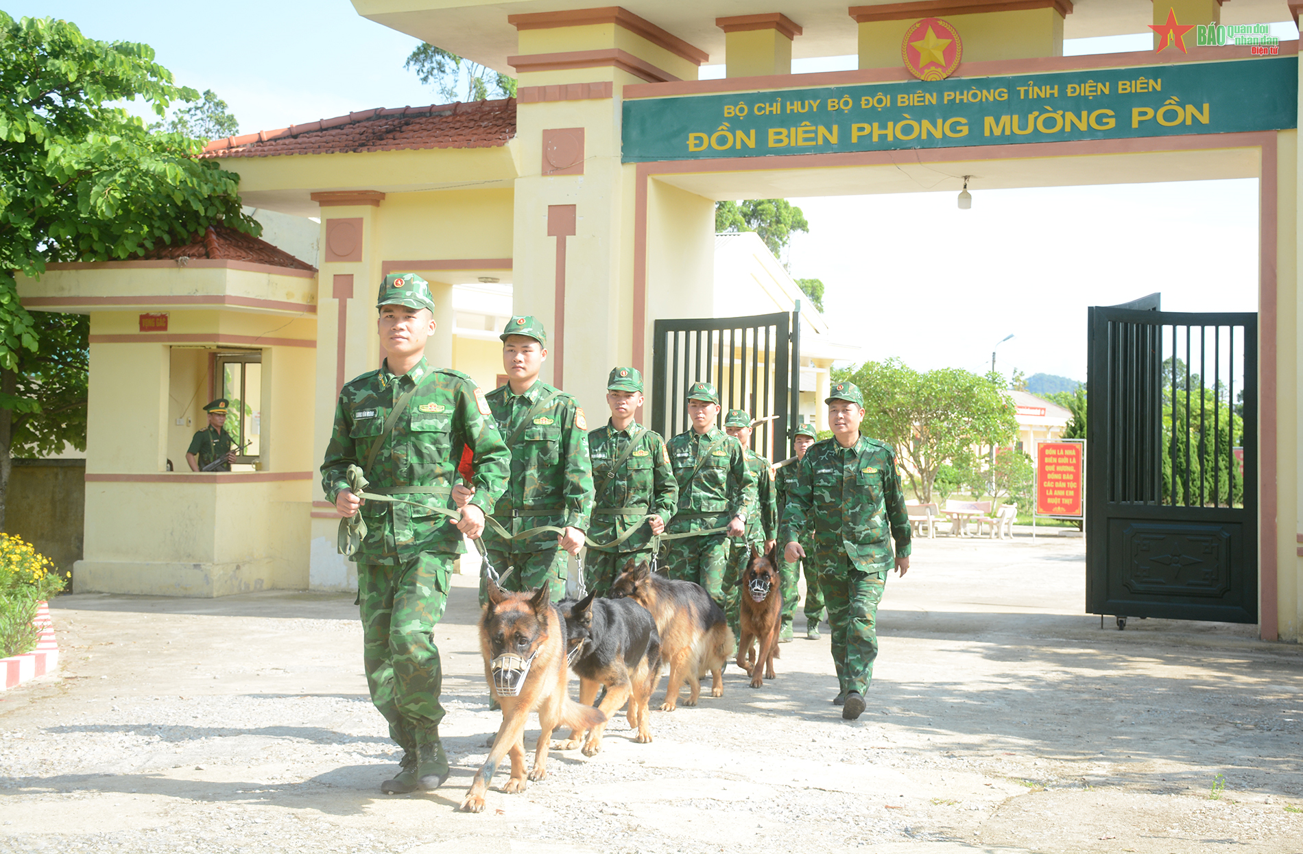 Một buổi huấn luyện tìm kiếm cứu nạn cùng “trợ thủ đặc biệt”