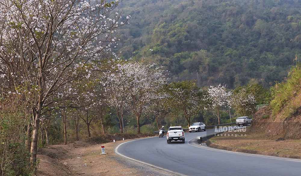 2024 is the year of the 70th Anniversary of Dien Bien Phu Victory, so from the beginning of the year, the number of tourists coming to Dien Bien has been very large.