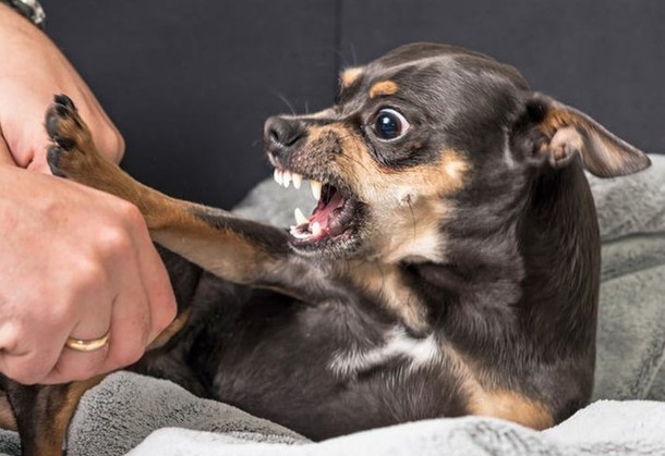 ドンナイ省は数年後に結核の流行が起こったことを記録した。写真1