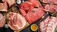 Giá heo hơi hôm nay 13/4: Giá heo hơi miền Bắc tăng nhẹ, sản lượng thịt heo của EU tiếp tục giảm