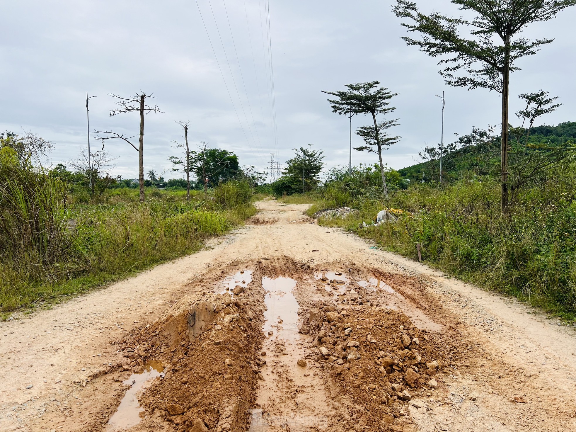 Pasto crecido y basura acumulada en un proyecto residencial de 400 mil millones de dólares en Quang Ngai, foto 14