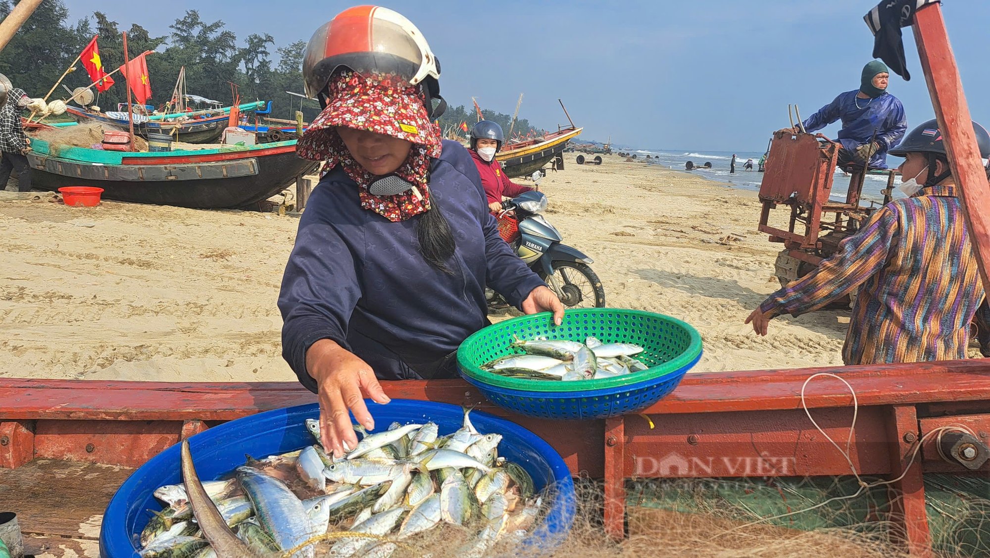 Hà Tĩnh: Ngư dân phấn khởi trúng đậm cá bạc má gần bờ- Ảnh 4.