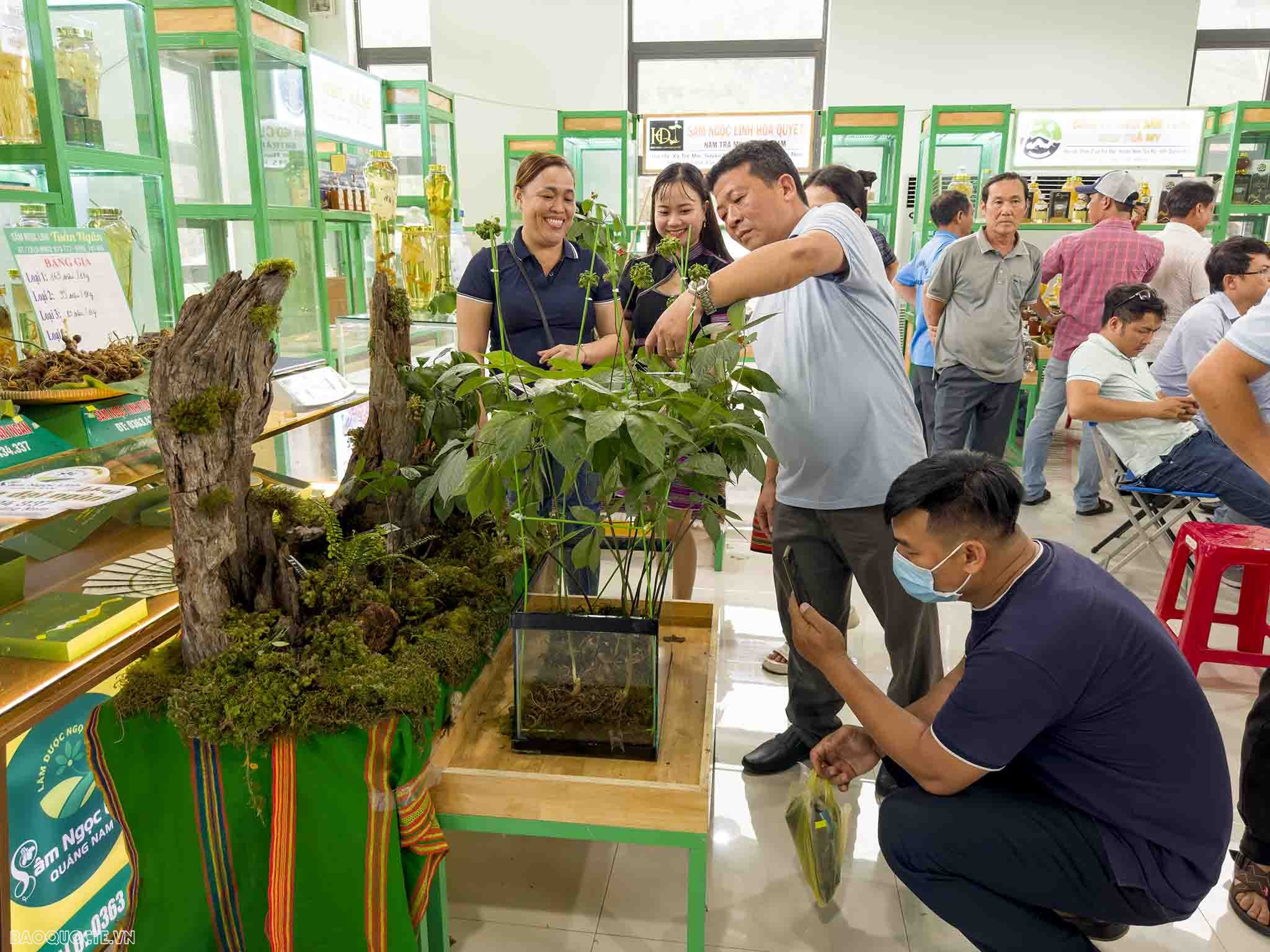 Quảng Nam: 60 gian hàng tham gia phiên chợ sâm Ngọc Linh