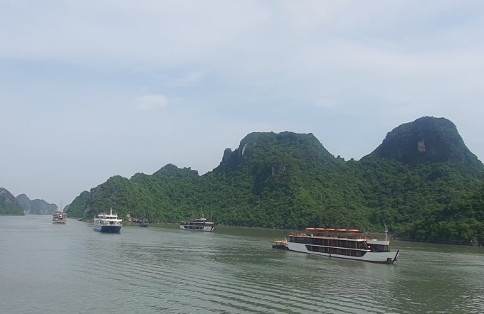 Cruise ship anchors at Gia Luan wharf, Hai Phong, July 17. Photo: Pham Ha