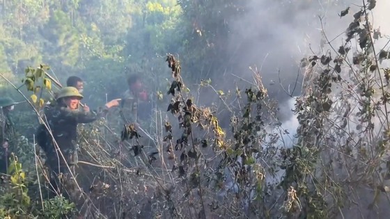 하띤성 산불 진화에 수백명 동원 사진 12