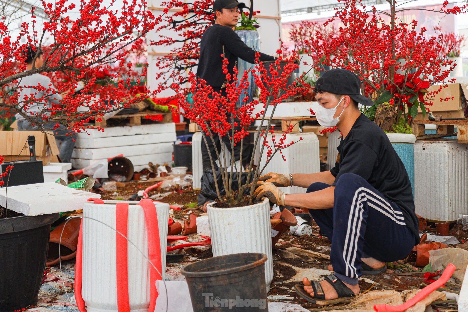 Des fleurs de pêche fraîches combinées à du bois flotté d'une valeur de plusieurs centaines de millions de dongs attirent toujours les clients photo 7