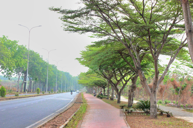 La hermosa carretera de flores de papel como en una película en la ciudad de Ho Chi Minh está causando revuelo en Internet. Foto 16