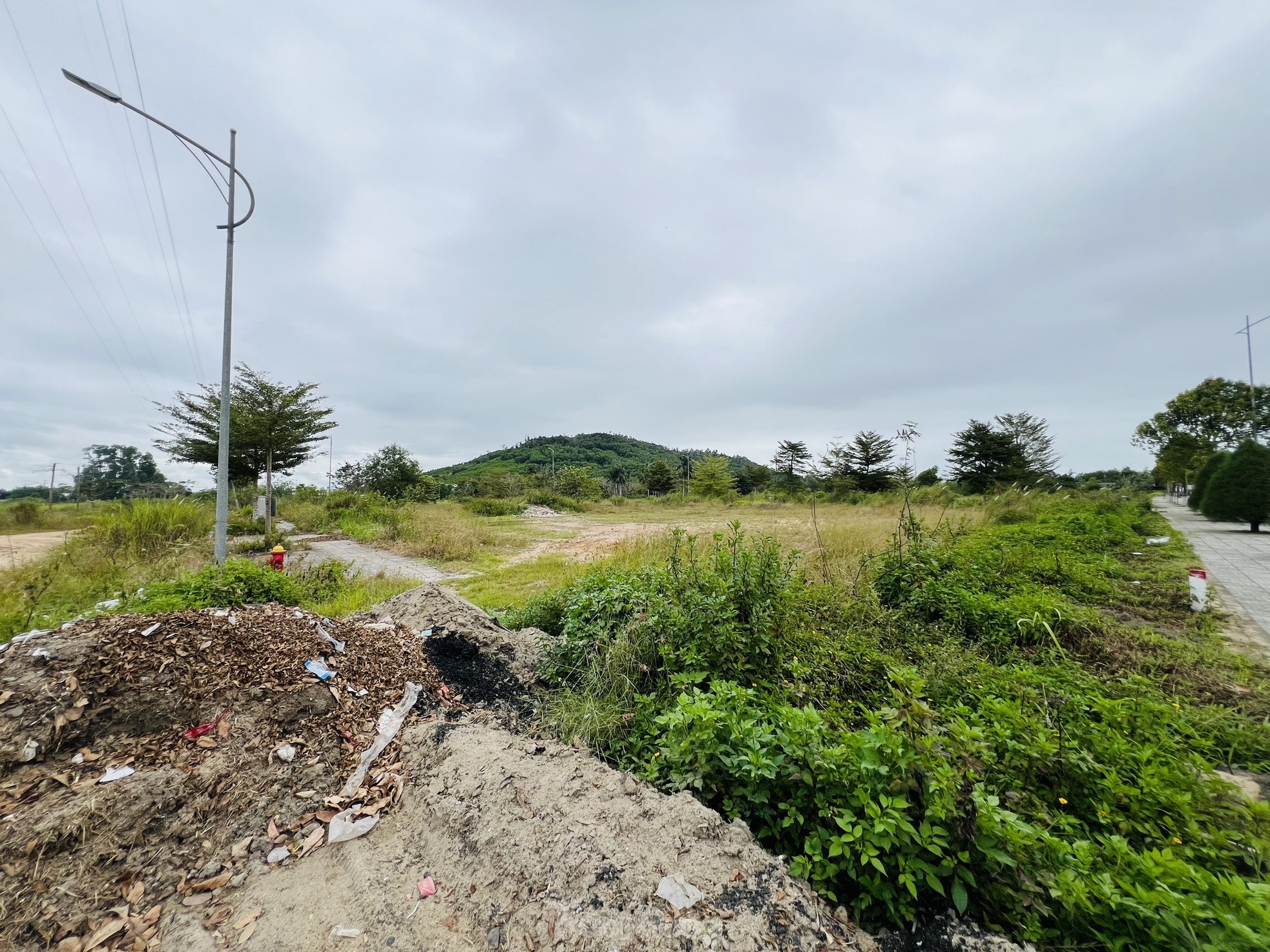 Pasto crecido y basura acumulada en un proyecto residencial de 400 mil millones de dólares en Quang Ngai, foto 3