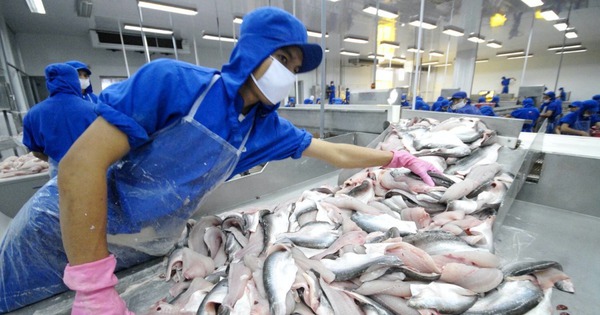 Was unternimmt Nam Viet Seafood, um sein Ziel zu erreichen, den Nettogewinn in diesem Jahr um das Achtfache zu steigern?