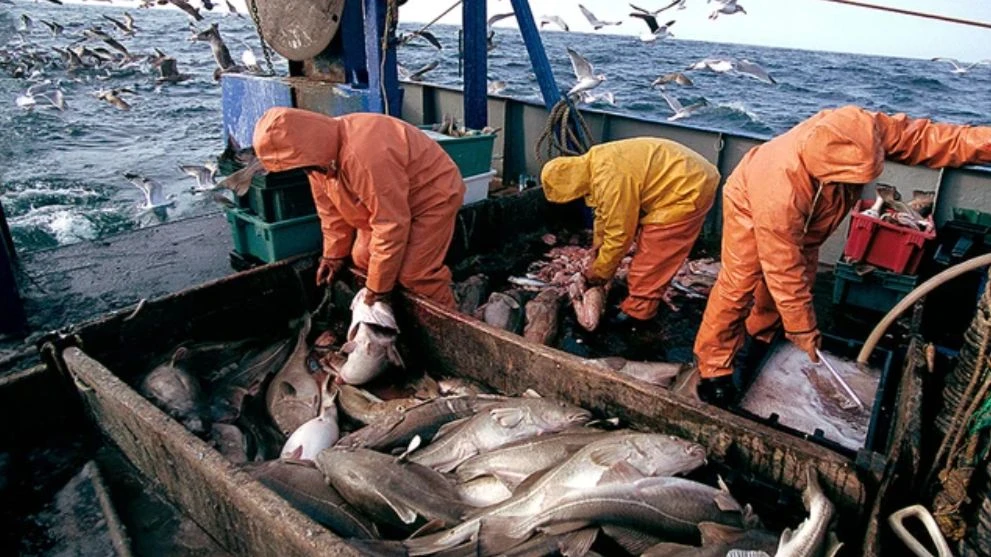 Russland kündigt Abkommen, das Großbritannien das Fischen in der Barentssee erlaubt