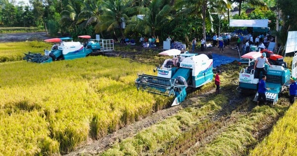 Proposition d'allocation de ressources humaines et de capitaux suffisants pour le projet d'un million d'hectares de riz de haute qualité et à faibles émissions